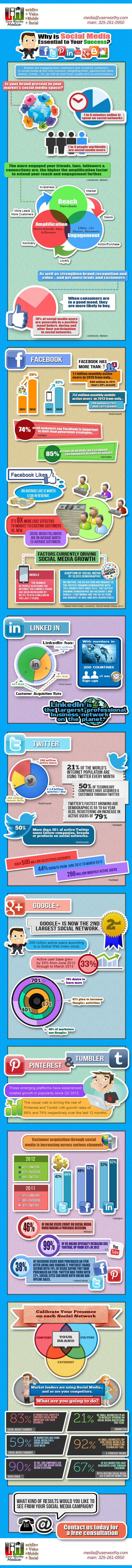 Social Media Infographics 2013 UserWorthyMedia.com